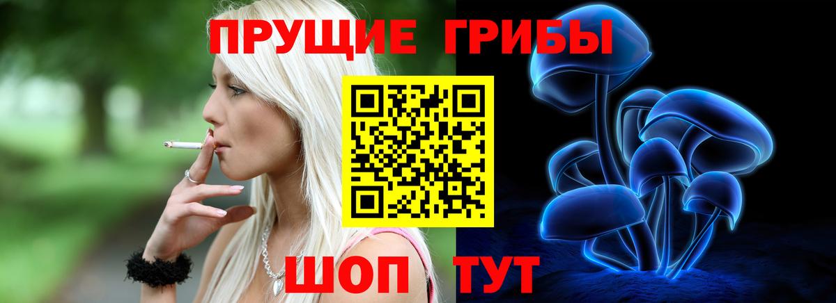 Псилоцибиновые грибы мицелий Нарткала